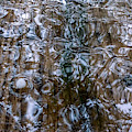 Hail Fluidity