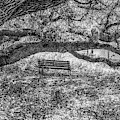 That Old Park Bench