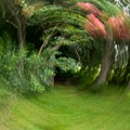 The Path Ahead